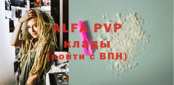 хмурый Абаза