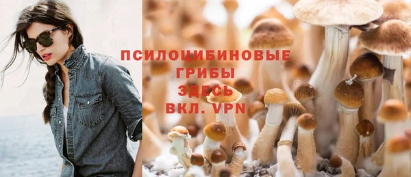 кокс Алзамай