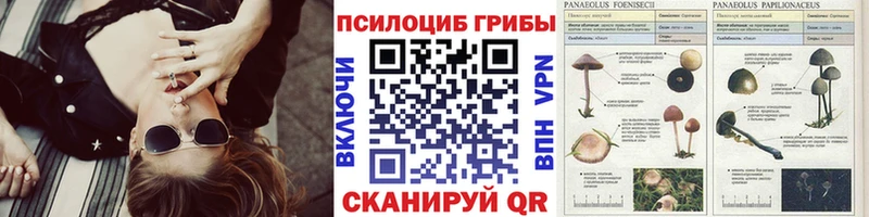 Галлюциногенные грибы Magic Shrooms  где найти   Каменск-Уральский 